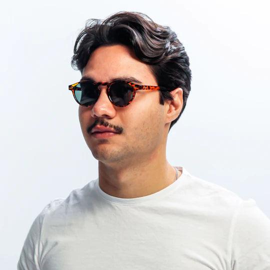 Sunglasses ARTIST - Horizon