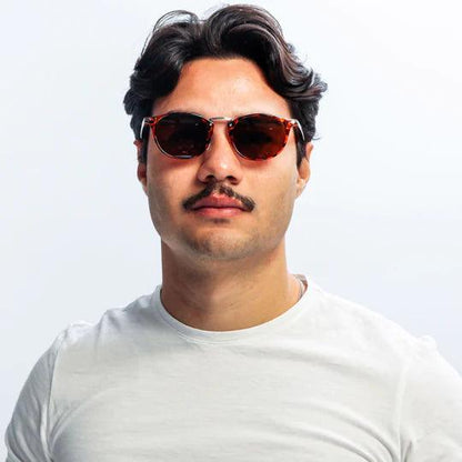 Sunglasses PIPA - Horizon